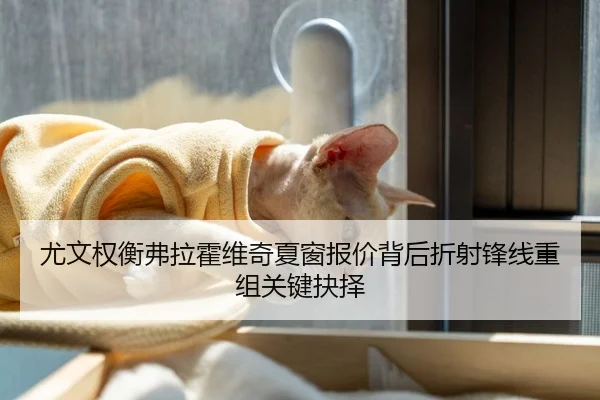 尤文权衡弗拉霍维奇夏窗报价背后折射锋线重组关键抉择